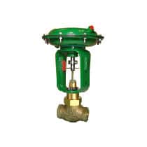 Fisher Baumann 24000 Globe Valve