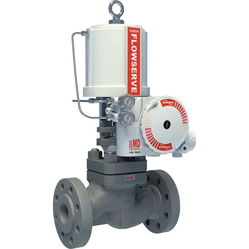 Durco Mark One Globe Valve