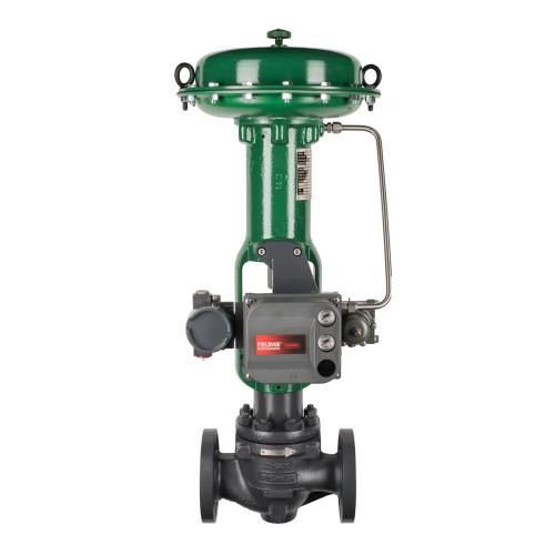 Fisher ED Globe Valve DN15-200