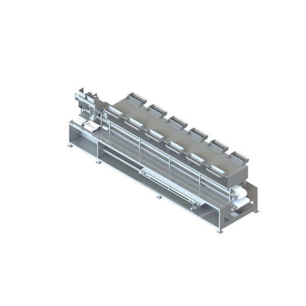 Carsoe Упаковочная линия для замороженных продуктов