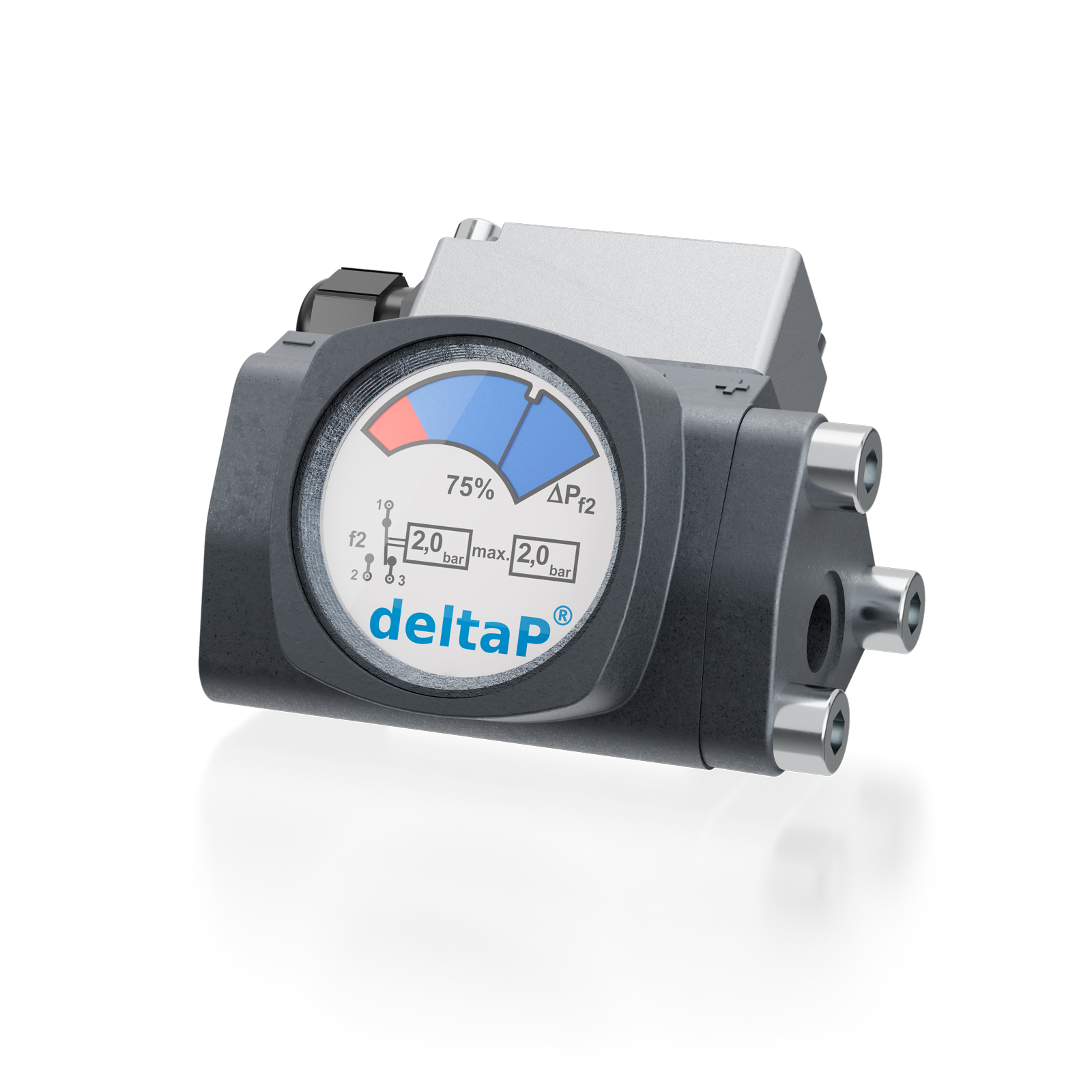 Индикатор перепада давления Friedrichs Filtersysteme DP 5.02-1,3-f2.0,7-V-N