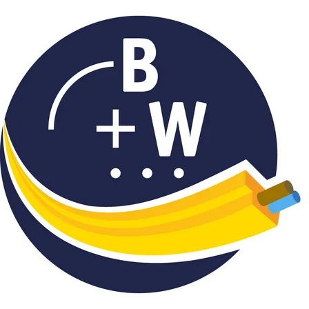 Программное обеспечение Safety Suite Bihl+Wiedemann BWU2916 для конфигурации и диагностики Программное обеспечение Safety Suite Bihl+Wiedemann BWU2916 для конфигурации и диагностики