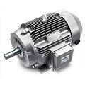 Прочие электродвигатели