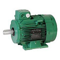 Электродвигатели