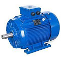 Взрывозащищенные электродвигатели